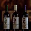 HaritatouVineyards+November18-2
